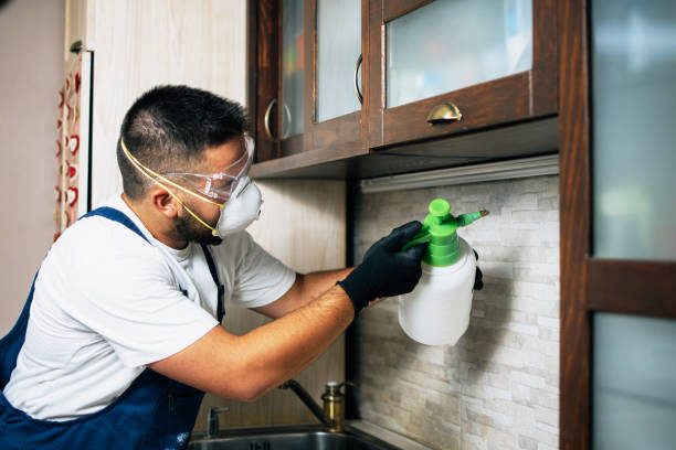 Best Mosquito Control Services  in Vaughn, WA