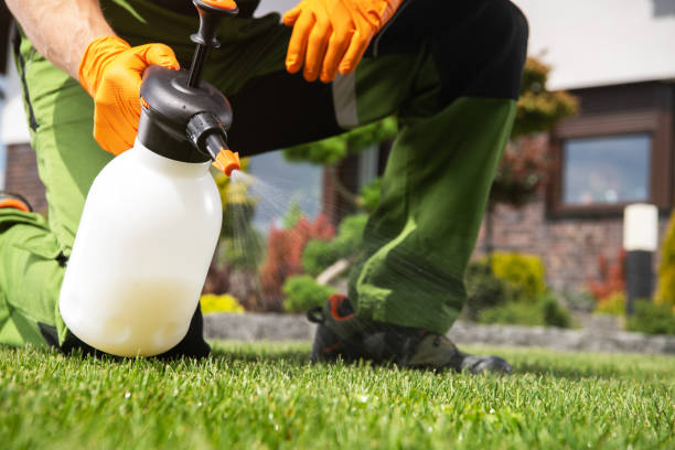 Reliable Vaughn, WA Pest Control Solutions