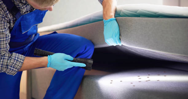 Best Exterminator Services  in Vaughn, WA