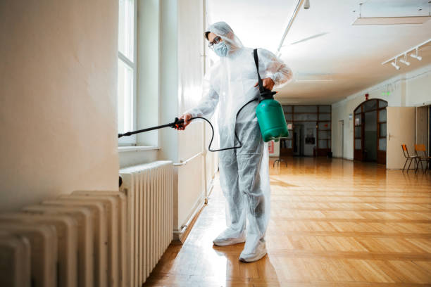 Best Local Pest Control Services  in Vaughn, WA