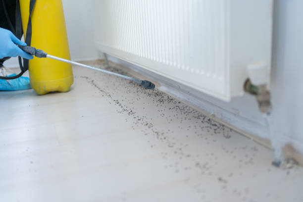 Best Ant Control Services  in Vaughn, WA