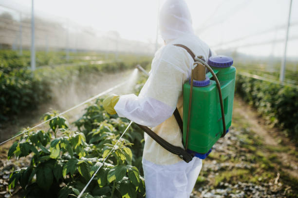 Best Pest Prevention Services  in Vaughn, WA